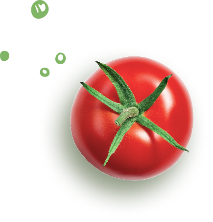 Tomato