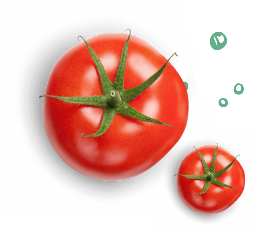 Tomato